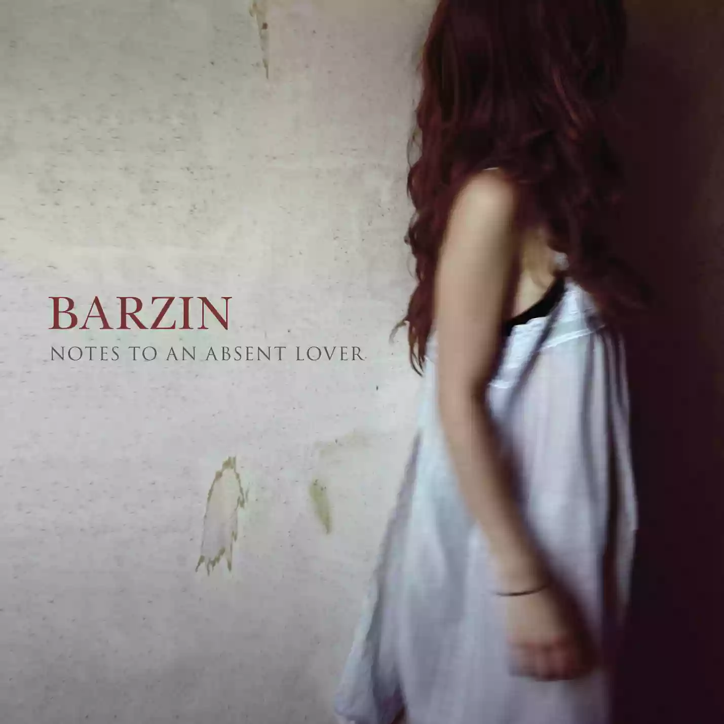 Barzin: Notes to an Absent Lover