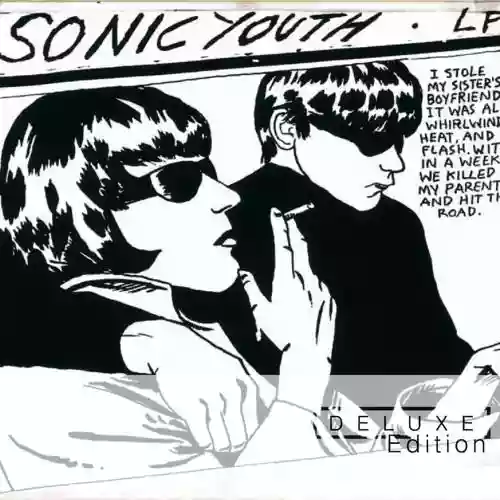 Cover Sonic Youth - Blowjob