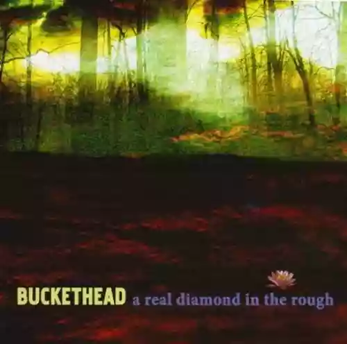 Cover Buckethead - A Real Diamond in the Rough