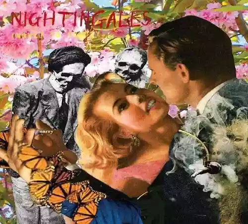 Cover The Nightingales - Insult to Injury