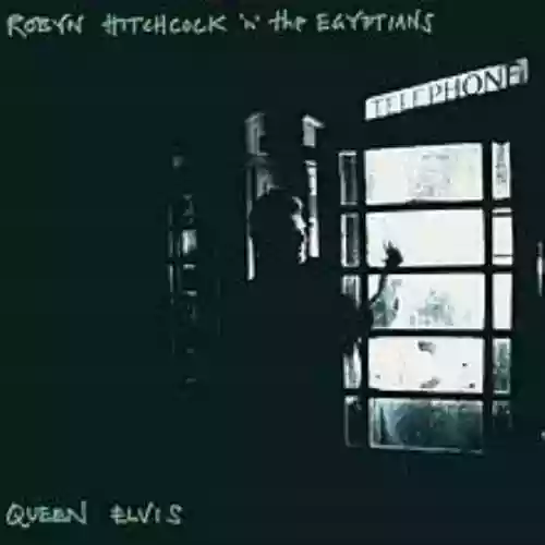 Cover Robyn Hitchcock - Obliteration Pie