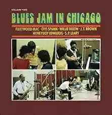 Fleetwood Mac: Blues Jam in Chicago, Volume 2
