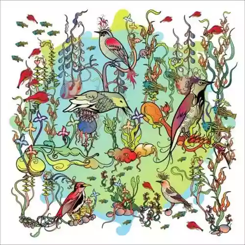 Cover John Zorn - O'o