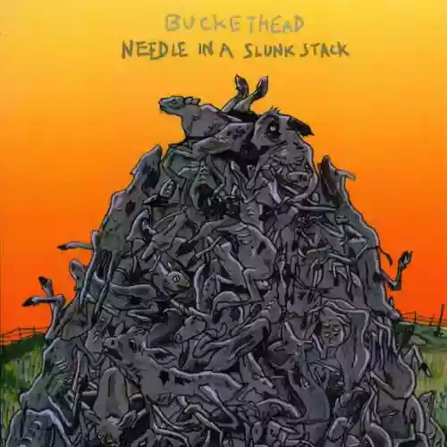 Cover di Needle in a Slunk Stack