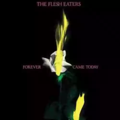 Cover di Forever Came Today