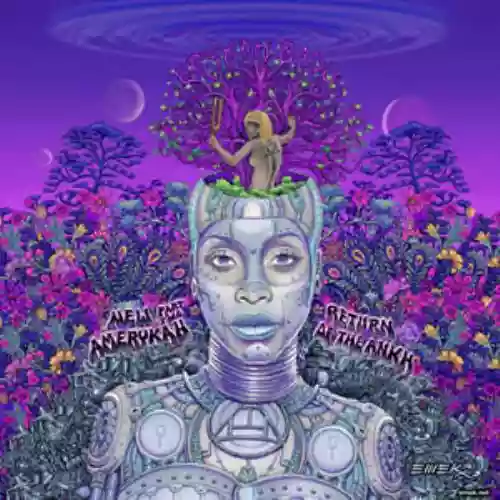 Cover Erykah Badu - New Amerykah, Part Two (Return of the Ankh)