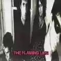 <b>The Flaming Lips</b> • In a Priest Driven Ambulance