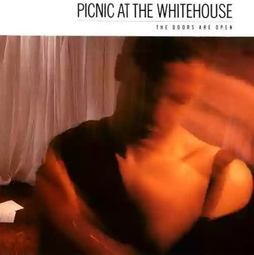 Cover Picnic at the Whitehouse - The Doors Are Open