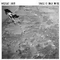 <b>Nicolas Jaar</b> • Space Is Only Noise