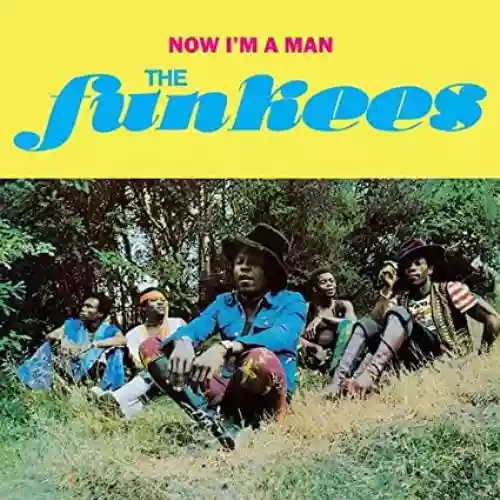 Cover The Funkees - Now I'm A Man