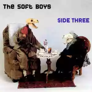 the soft boys: side three
