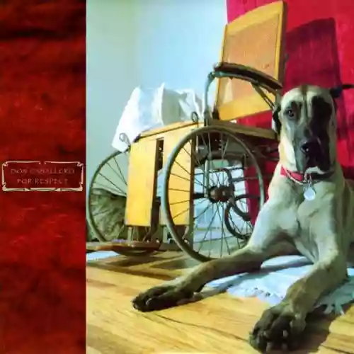 Cover Don Caballero - For Respect