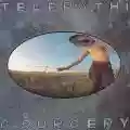 <b>The Flaming Lips</b> • Telepathic Surgery