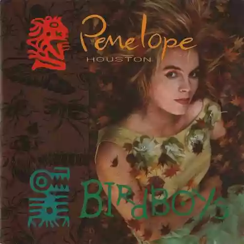 Cover Penelope Houston - Birdboys