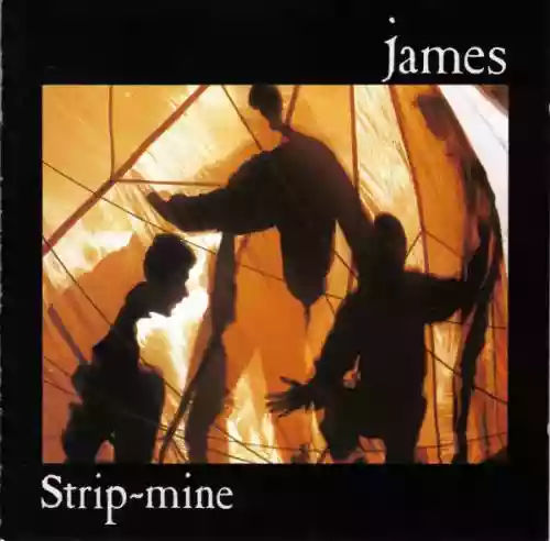 Cover di Strip Mine