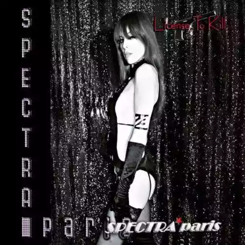 Cover di License to Kill