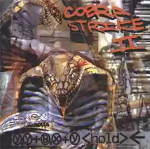 Cobra Strike: Cobra Strike II: Y,Y+B,X+Y<hold>?