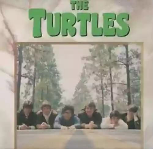 Cover The Turtles - The Turtles