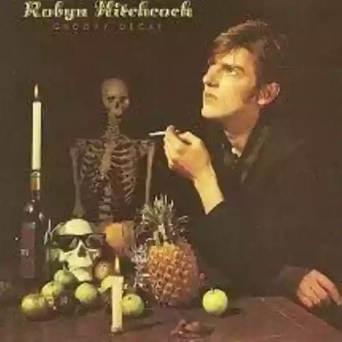 Cover Robyn Hitchcock - Groovy Decay