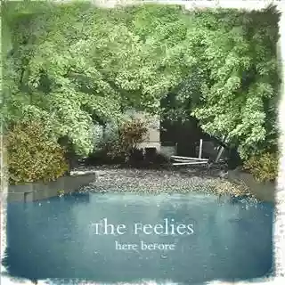 The Feelies: Here Before