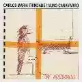 <b>Carlos Maria Trindade</b> • Mr. Wollogallu