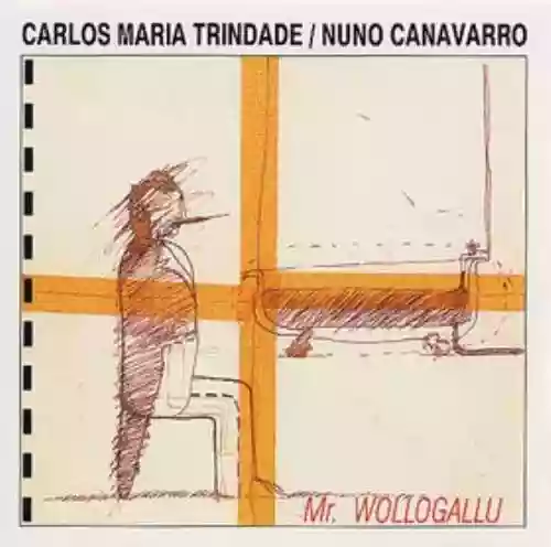Cover di Mr. Wollogallu