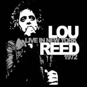Lou Reed: Walk on the Wild Side: Live in New York 1972