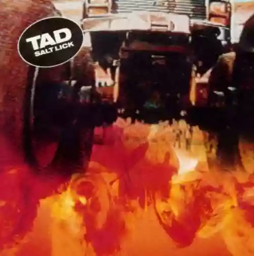 Cover Tad - Salt Lick