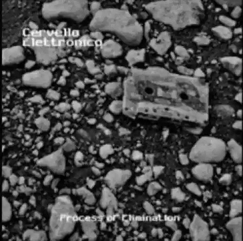 Cover Cervello Elettronico - Process of Elimination