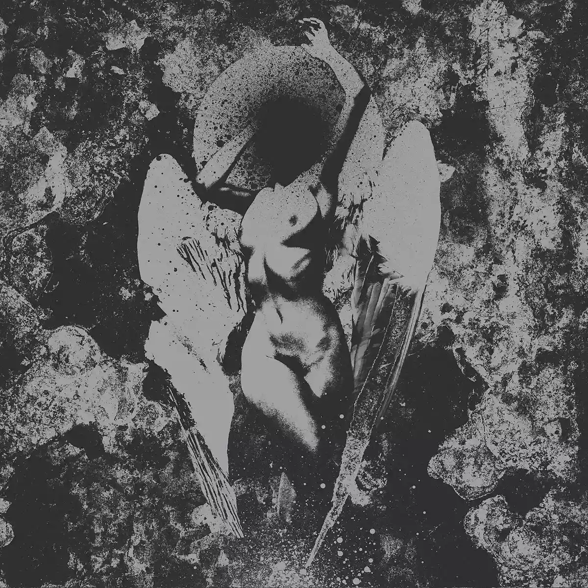 Converge: Converge / Dropdead Split