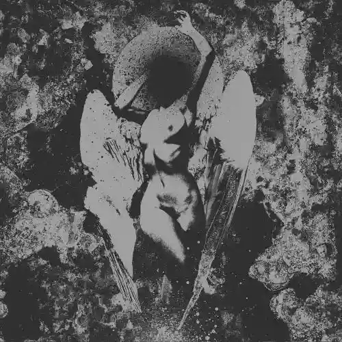 Cover di Converge / Dropdead Split