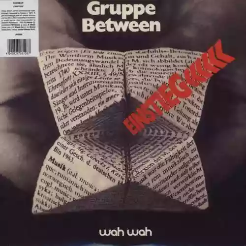 Cover di Einstieg