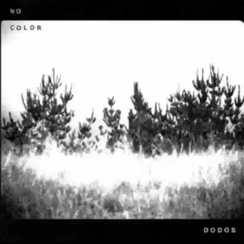 Cover di No Color