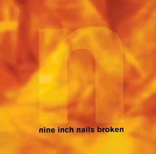 Cover Nine Inch Nails - Broken