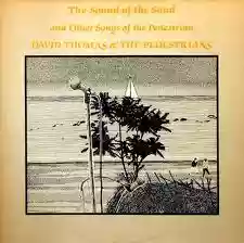 David Thomas and The Pedestrians: The Sound of the Sand & Other Songs of the Pedestrian