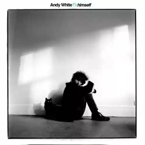 Cover di Himself