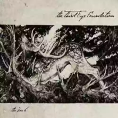 Cover The Third Eye Foundation - The Dark