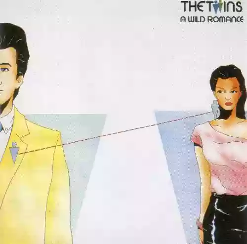 Cover The Twins - A Wild Romance