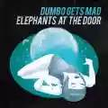 <b>Dumbo Gets Mad</b> • Elephants At The Door
