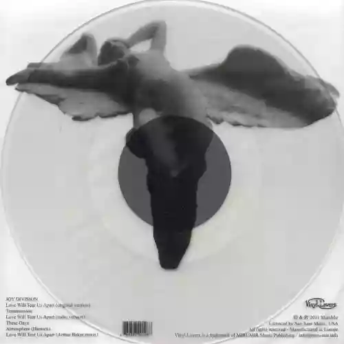 Cover di Love Will Tear Us Apart