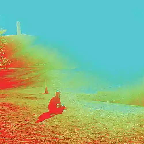 Cover The Flaming Lips - The Terror