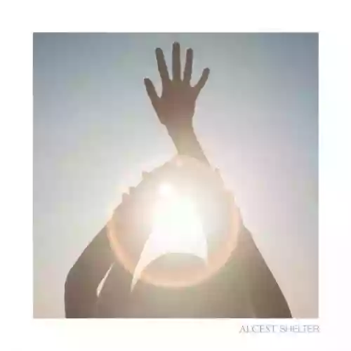 Cover di Shelter