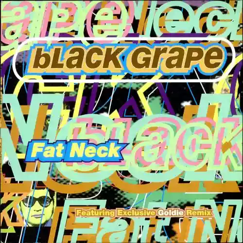 Cover di Fat Neck