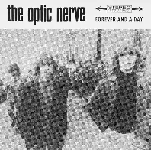 Cover The Optic Nerve - Forever And A day