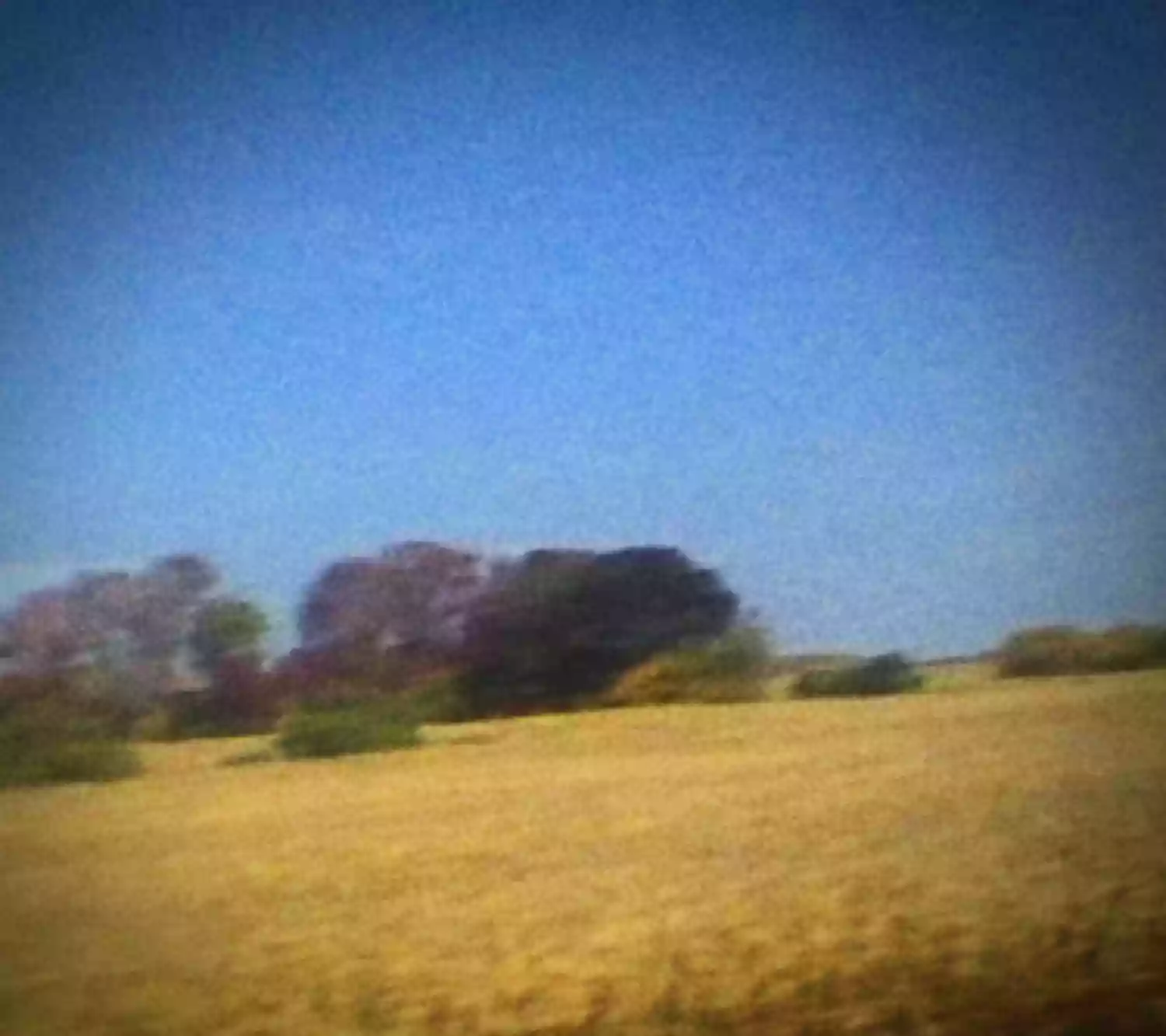 Sun Kil Moon: Benji