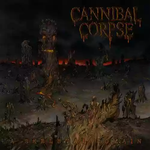 Cover di A Skeletal Domain