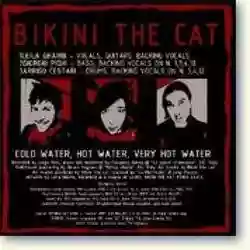 Bikini the Cat: Cold water, hot water, very hot water