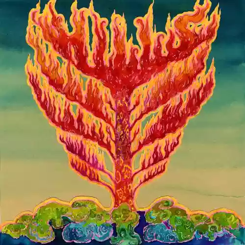 Cover Hills - Frid