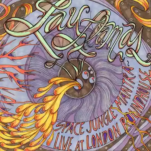 Cover The Lay Llamas - Space Jungle Mantra: Live at London Roundhouse