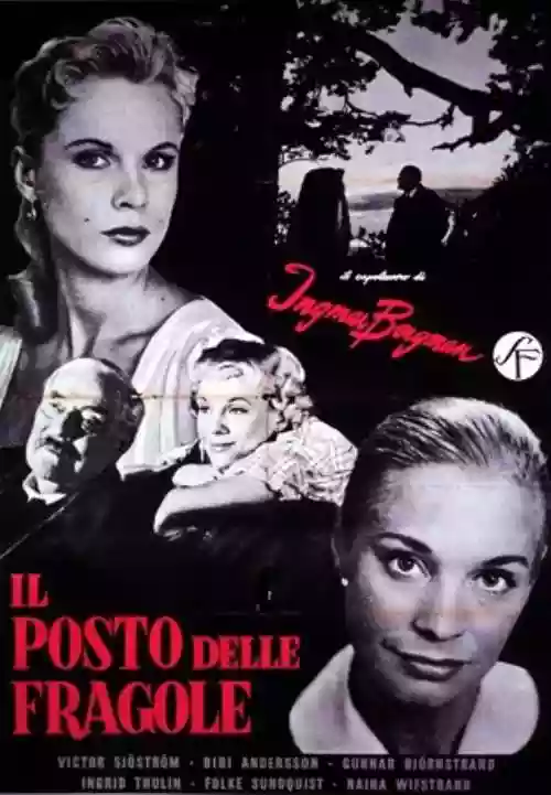 Cover di Il Posto delle Fragole